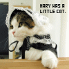 Cat_Avatar_456456.gif