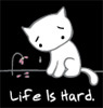 Cat_Avatar_545645.jpg