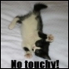 Cat_Avatar_848.jpg